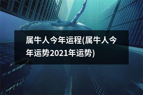 属牛人今年运程(属牛人今年运势2021年运势)