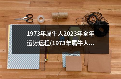 1973年属牛人2023年全年运势运程(1973年属牛人2023年每月运势运程)