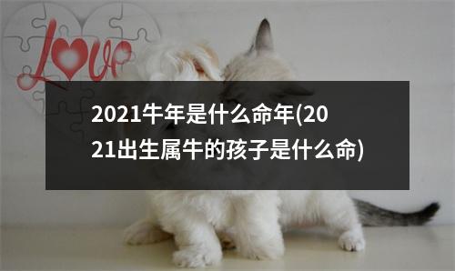 2021牛年是什么命年(2021出生属牛的孩子是什么命)