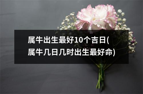 属牛出生好10个吉日(属牛几日几时出生好命)