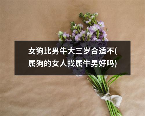 女狗比男牛大三岁合适不(属狗的女人找属牛男好吗)