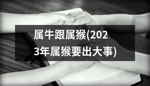 属牛跟属猴(2023年属猴要出大事)