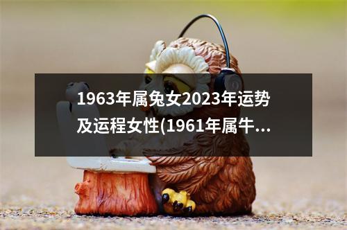 1963年属兔女2023年运势及运程女性(1961年属牛男人2023年运势及运程)