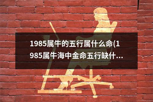 1985属牛的五行属什么命(1985属牛海中金命五行缺什么)