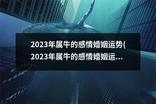 2023年属牛的感情婚姻运势(2023年属牛的感情婚姻运势说明文2023年桃花运在几月)