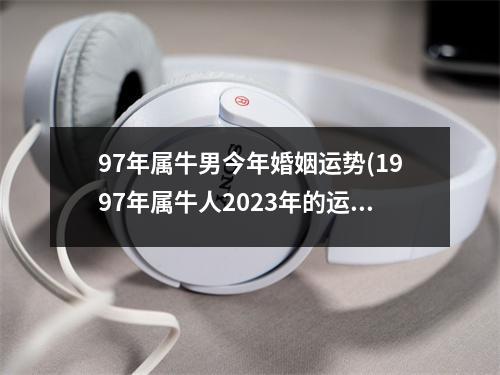 97年属牛男今年婚姻运势(1997年属牛人2023年的运势和婚姻)