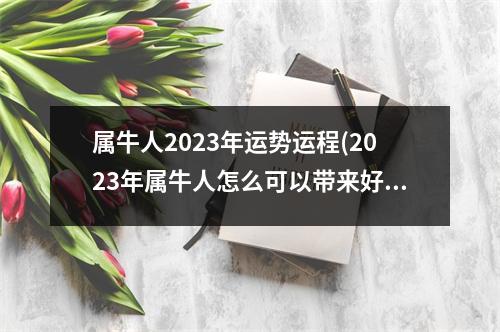 属牛人2023年运势运程(2023年属牛人怎么可以带来好运呢)