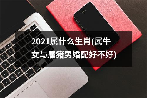 2021属什么生肖(属牛女与属猪男婚配好不好)