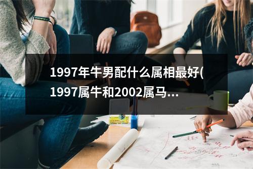 1997年牛男配什么属相好(1997属牛和2002属马结婚结局)