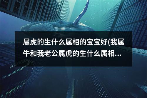 属虎的生什么属相的宝宝好(我属牛和我老公属虎的生什么属相的宝宝好)