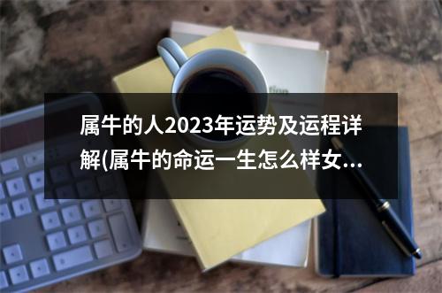 属牛的人2023年运势及运程详解(属牛的命运一生怎么样女2009)