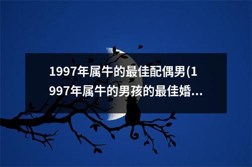 1997年属牛的佳配偶男(1997年属牛的男孩的佳婚配)