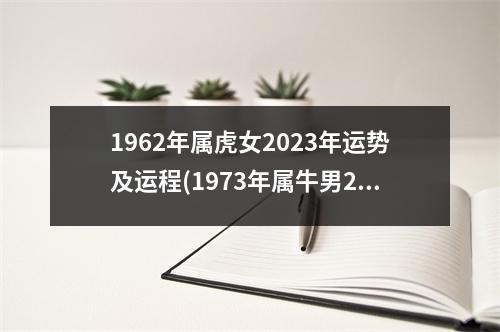 1962年属虎女2023年运势及运程(1973年属牛男2023年运势运程)