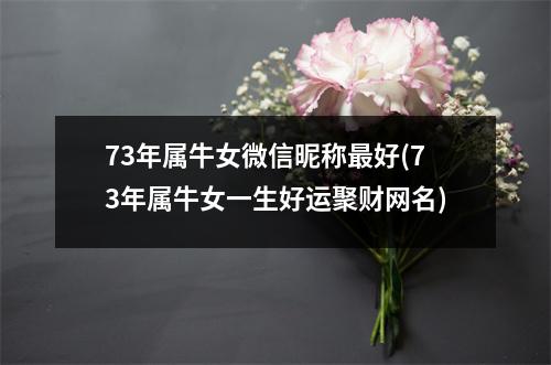 73年属牛女微信昵称好(73年属牛女一生好运聚财网名)