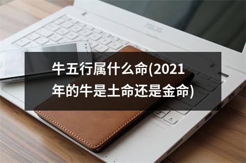 牛五行属什么命(2021年的牛是土命还是金命)