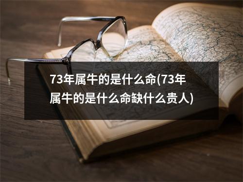 73年属牛的是什么命(73年属牛的是什么命缺什么贵人)