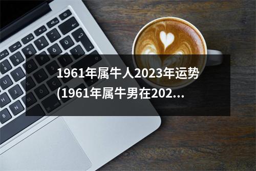 1961年属牛人2023年运势(1961年属牛男在2023年好不好)