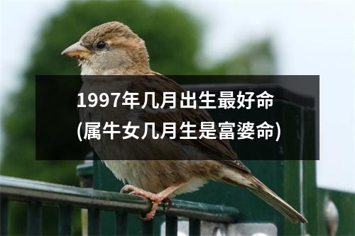 1997年几月出生好命(属牛女几月生是富婆命)