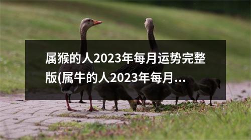 属猴的人2023年每月运势完整版(属牛的人2023年每月运势及运程详解)