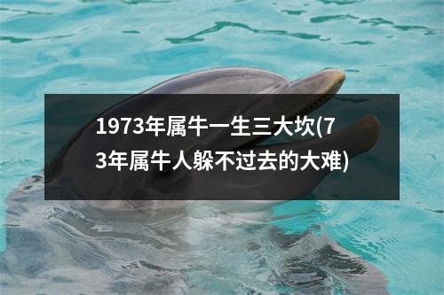 1973年属牛一生三大坎(73年属牛人躲不过去的大难)