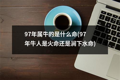 97年属牛的是什么命(97年牛人是火命还是涧下水命)