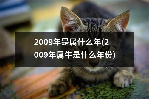 2009年是属什么年(2009年属牛是什么年份)