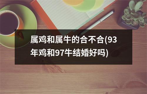 属鸡和属牛的合不合(93年鸡和97牛结婚好吗)