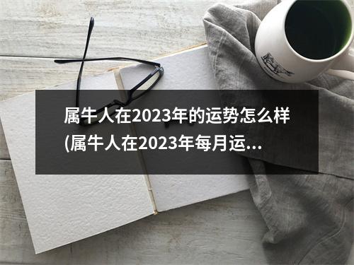 属牛人在2023年的运势怎么样(属牛人在2023年每月运势)