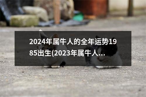 2024年属牛人的全年运势1985出生(2023年属牛人的每月运势1985出生)