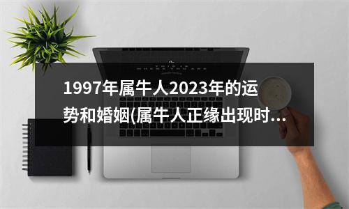 1997年属牛人2023年的运势和婚姻(属牛人正缘出现时间2023年)