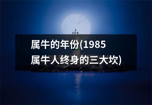 属牛的年份(1985属牛人终身的三大坎)