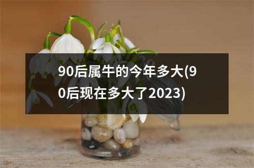 90后属牛的今年多大(90后现在多大了2023)