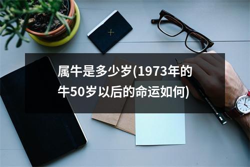 属牛是多少岁(1973年的牛50岁以后的命运如何)