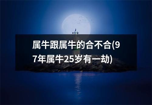 属牛跟属牛的合不合(97年属牛25岁有一劫)