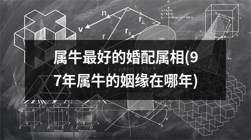 属牛好的婚配属相(97年属牛的姻缘在哪年)