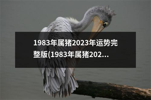 1983年属猪2023年运势完整版(1983年属猪2023年运势完整版属牛)