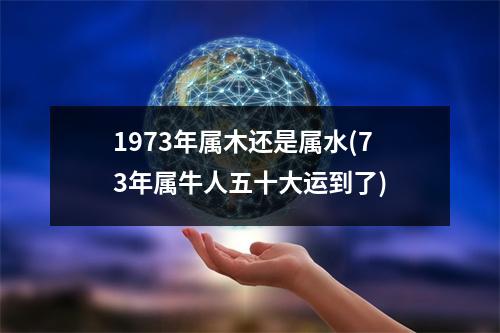 1973年属木还是属水(73年属牛人五十大运到了)