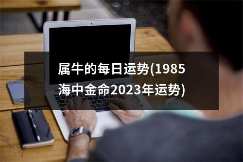 属牛的每日运势(1985海中金命2023年运势)