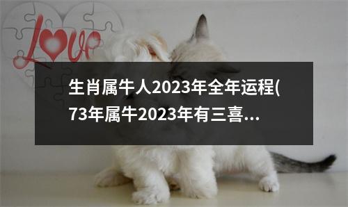 生肖属牛人2023年全年运程(73年属牛2023年有三喜)