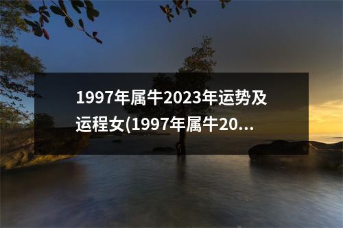 1997年属牛2023年运势及运程女(1997年属牛2023年运势及运程每月运程)