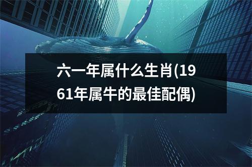 六一年属什么生肖(1961年属牛的佳配偶)