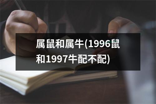 属鼠和属牛(1996鼠和1997牛配不配)