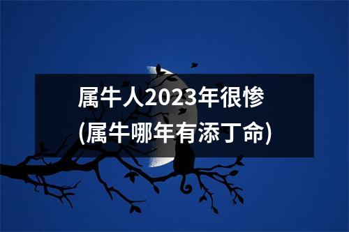 属牛人2023年很惨(属牛哪年有添丁命)