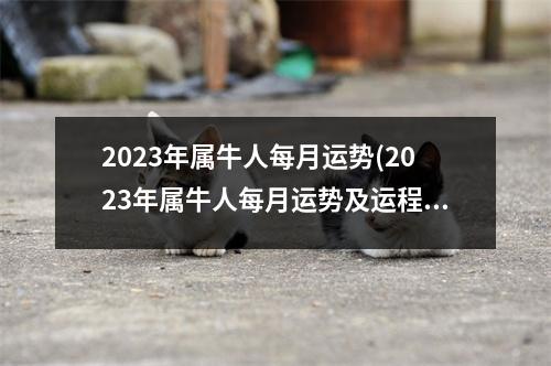 2023年属牛人每月运势(2023年属牛人每月运势及运程第一星座网)