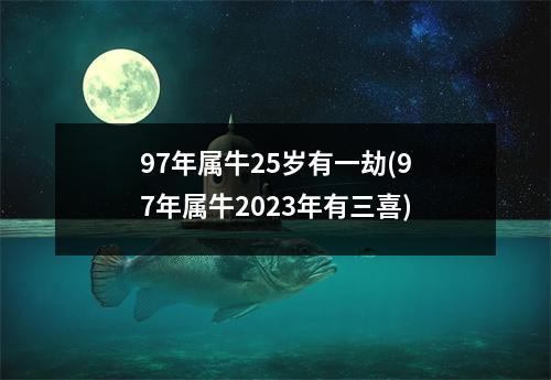 97年属牛25岁有一劫(97年属牛2023年有三喜)