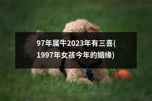 97年属牛2023年有三喜(1997年女孩今年的姻缘)