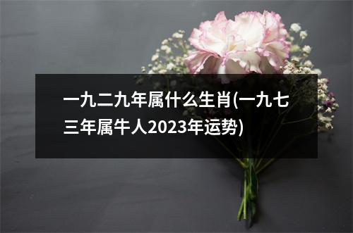 一九二九年属什么生肖(一九七三年属牛人2023年运势)