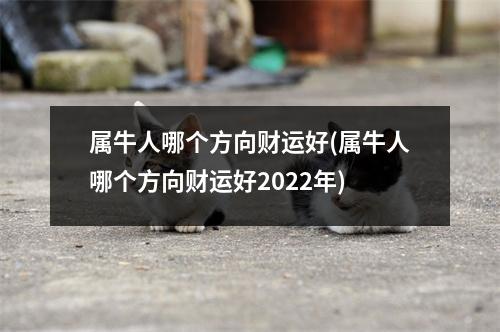 属牛人哪个方向财运好(属牛人哪个方向财运好2022年)