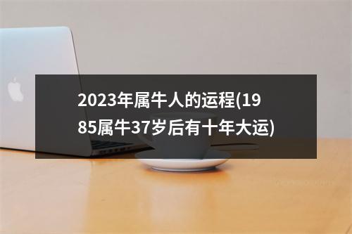 2023年属牛人的运程(1985属牛37岁后有十年大运)