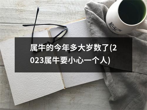 属牛的今年多大岁数了(2023属牛要小心一个人)